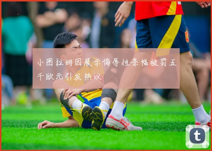 小图拉姆因展示侮辱性条幅被罚五千欧元引发热议